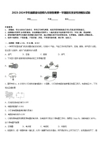 2023-2024学年福建省仙游县九年级物理第一学期期末质量检测模拟试题含答案