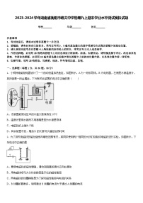 2023-2024学年湖南省衡阳市逸夫中学物理九上期末学业水平测试模拟试题含答案