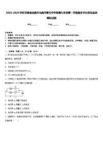 2023-2024学年甘肃省金昌市永昌市第五中学物理九年级第一学期期末学业质量监测模拟试题含答案