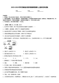 2023-2024学年甘肃省庆阳市镇原县物理九上期末统考试题含答案