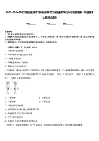 2023-2024学年甘肃省张掖市甘州区张掖市甘州区南关学校九年级物理第一学期期末达标测试试题含答案