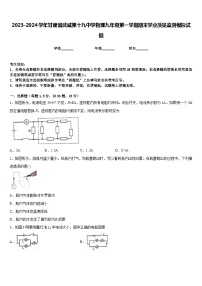 2023-2024学年甘肃省武威第十九中学物理九年级第一学期期末学业质量监测模拟试题含答案