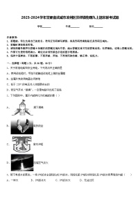 2023-2024学年甘肃省武威市凉州区洪祥镇物理九上期末联考试题含答案