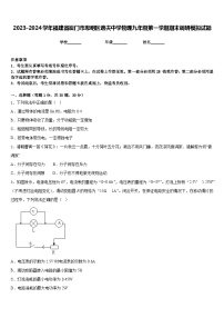 2023-2024学年福建省厦门市思明区逸夫中学物理九年级第一学期期末调研模拟试题含答案