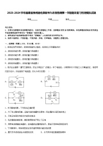 2023-2024学年福建省泉州德化县联考九年级物理第一学期期末复习检测模拟试题含答案