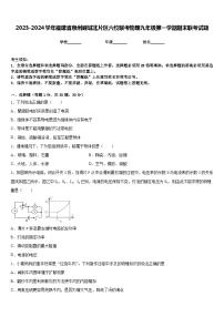 2023-2024学年福建省泉州鲤城北片区六校联考物理九年级第一学期期末联考试题含答案