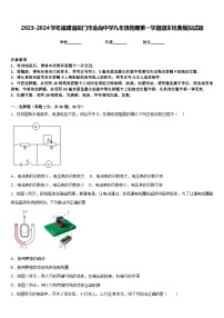 2023-2024学年福建省厦门市金尚中学九年级物理第一学期期末经典模拟试题含答案