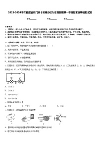 2023-2024学年福建省厦门双十思明分校九年级物理第一学期期末调研模拟试题含答案