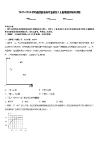 2023-2024学年福建省泉州市港泉区九上物理期末联考试题含答案