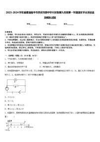 2023-2024学年福建省南平市邵武市四中学片区物理九年级第一学期期末学业质量监测模拟试题含答案