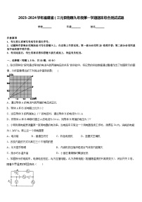 2023-2024学年福建省（三元县物理九年级第一学期期末综合测试试题含答案