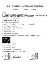 2023-2024学年福建省福州市金山中学物理九年级第一学期期末检测试题含答案