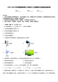 2023-2024学年福建省鲤城区六校联考九上物理期末质量跟踪监视试题含答案