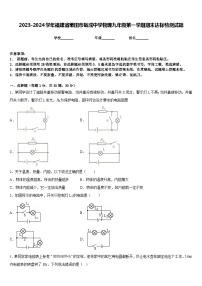 2023-2024学年福建省莆田市砺成中学物理九年级第一学期期末达标检测试题含答案