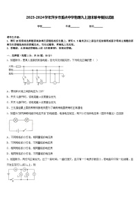 2023-2024学年萍乡市重点中学物理九上期末联考模拟试题含答案