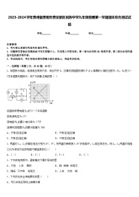 2023-2024学年贵州省贵阳市贵安新区民族中学九年级物理第一学期期末综合测试试题含答案