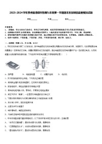 2023-2024学年贵州省清镇市物理九年级第一学期期末质量跟踪监视模拟试题含答案