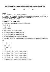 2023-2024学年辽宁省抚顺市新抚区九年级物理第一学期期末检测模拟试题含答案