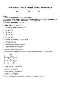 2023-2024学年辽宁省沈阳134中学九上物理期末质量跟踪监视试题含答案
