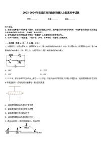 2023-2024学年重庆市巴南区物理九上期末统考试题含答案