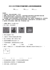 2023-2024学年重庆市巴南区物理九上期末质量跟踪监视试题含答案