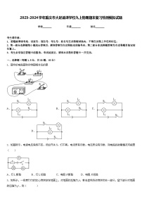 2023-2024学年重庆市大足迪涛学校九上物理期末复习检测模拟试题含答案