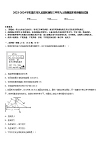 2023-2024学年重庆市九龙坡区西彭三中学九上物理期末检测模拟试题含答案