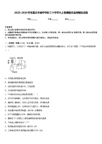 2023-2024学年重庆市渝中学区三十中学九上物理期末监测模拟试题含答案