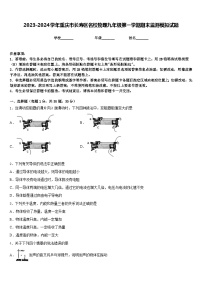 2023-2024学年重庆市长寿区名校物理九年级第一学期期末监测模拟试题含答案