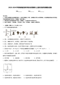 2023-2024学年陕西省宝鸡市陈仓区物理九上期末质量检测模拟试题含答案