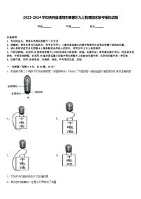 2023-2024学年陕西省咸阳市秦都区九上物理期末联考模拟试题含答案