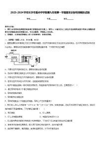 2023-2024学年长沙市重点中学物理九年级第一学期期末达标检测模拟试题含答案