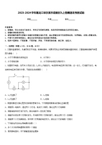 2023-2024学年黑龙江哈尔滨市道里区九上物理期末预测试题含答案