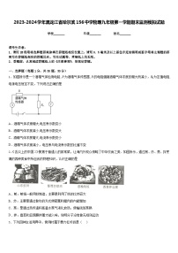 2023-2024学年黑龙江省哈尔滨156中学物理九年级第一学期期末监测模拟试题含答案