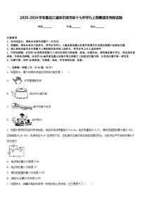 2023-2024学年黑龙江省哈尔滨市哈十七中学九上物理期末预测试题含答案