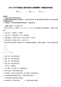 2023-2024学年黑龙江省哈尔滨市九年级物理第一学期期末统考试题含答案