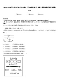 2023-2024学年黑龙江省大庆市第六十九中学物理九年级第一学期期末质量检测模拟试题含答案