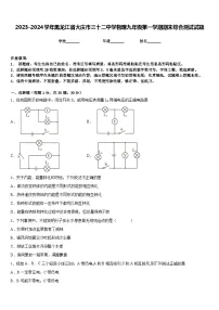 2023-2024学年黑龙江省大庆市三十二中学物理九年级第一学期期末综合测试试题含答案