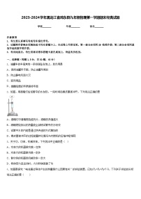 2023-2024学年黑龙江省鸡东县九年级物理第一学期期末经典试题含答案