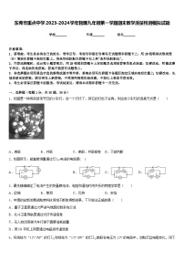 东莞市重点中学2023-2024学年物理九年级第一学期期末教学质量检测模拟试题含答案