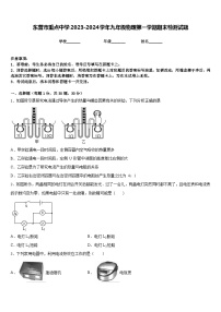 东营市重点中学2023-2024学年九年级物理第一学期期末检测试题含答案