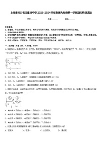 上海市民办张江集团中学2023-2024学年物理九年级第一学期期末检测试题含答案