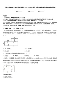 上海市外国语大附属外国语学校2023-2024学年九上物理期末学业质量监测试题含答案