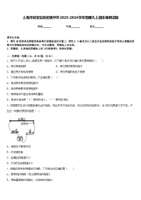 上海市延安实验初级中学2023-2024学年物理九上期末调研试题含答案