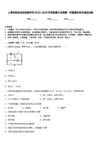 上海市延安实验初级中学2023-2024学年物理九年级第一学期期末综合测试试题含答案