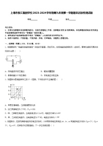 上海市张江集团学校2023-2024学年物理九年级第一学期期末达标检测试题含答案