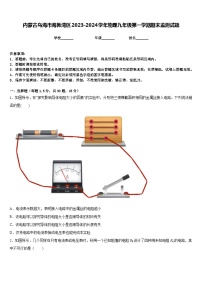 内蒙古乌海市海勃湾区2023-2024学年物理九年级第一学期期末监测试题含答案