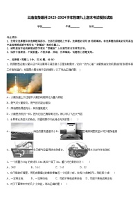 云南省楚雄州2023-2024学年物理九上期末考试模拟试题含答案