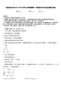 云南省祥云县2023-2024学年九年级物理第一学期期末学业质量监测模拟试题含答案