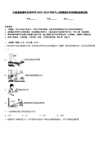 云南省曲靖市实验中学2023-2024学年九上物理期末质量跟踪监视试题含答案